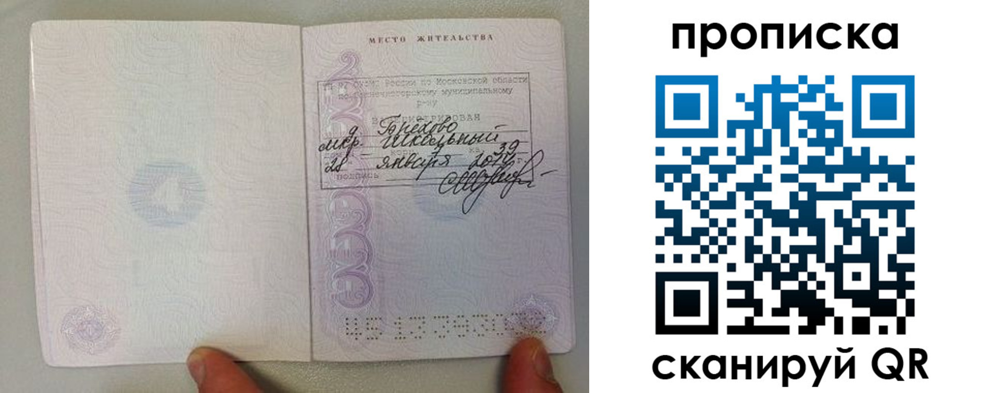 прописка поиск в Назрани